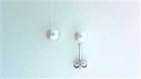 Orecchini Ticchi Maurizio Donna FRESH WATER in Perle Perla OB00110 - OB00110